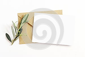 Feminine stationery, desktop mock-up scene. Blank greeting card and craft envelope with olive branch.White table photo