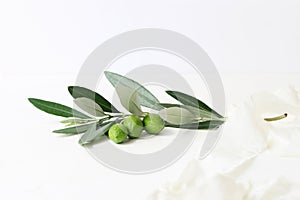 Feminine styled stock photography. Closeup of olive branch decorated by silk ribbon on white table background