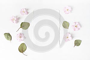 Feminine wedding, birthday desktop mock-up. Blank cotton paper greeting card, dry eucalyptus leaves and pink cherry tree