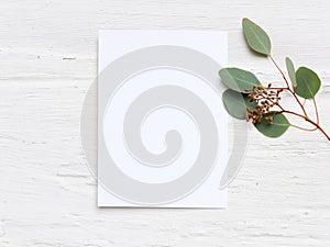 Feminine wedding desktop mock-up with blank paper card and Eucalyptus populus branch on white shabby table background