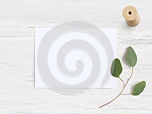 Feminine wedding desktop mock-up with blank paper card, wooden spool and Eucalyptus populus branch on white shabby table