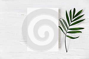 Feminine wedding stationery mock-up, desk scene. Blank greeting card and green palm leaf on white shabby table