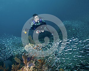 A Femle Diver Hovers Over a School of Fish in the Florida Keys