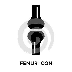 Femur icon vector isolated on white background, logo concept of