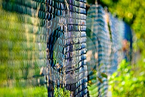 Fence