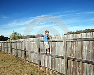 On the fence