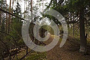 Fence of an abandoned health camp along a forest trail