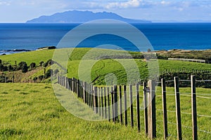 Fence across meadows at Tawharanui park