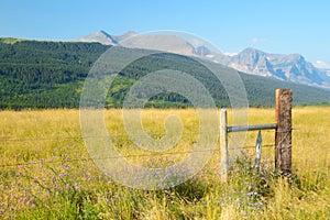 Fence along field of grasses in Glacial mountains.