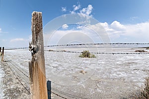 Fence along the playa