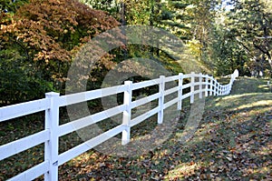 Fence along a rural roadway