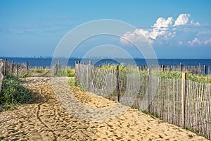 Fence Along the Shore