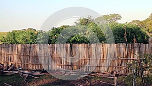 fence of bamboo