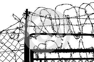 Fence with barbed wire