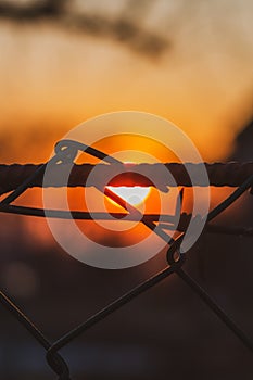 Fence with barbed wire on the background of the evening sky with the sunset