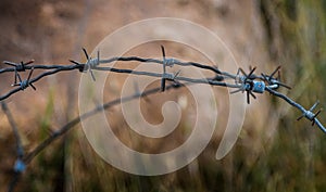 Fence with barbed wire on blurred background. Close-up