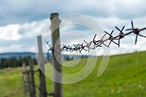 Fence with barbed wire. Fence in the field. Meadow grass with flowers.