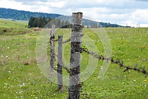 Fence with barbed wire. Fence in the field. Meadow grass with flowers.