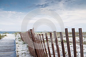 Fence on beach with natural vegetation and sand