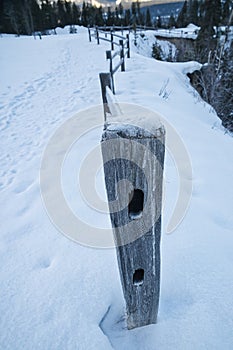 On the fence boundery fence covered in frost