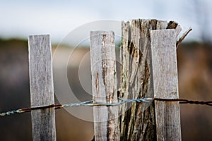 Fence at Cape Henlopen State Park, in Rehoboth Beach, Delaware.