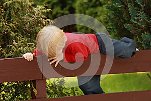 Fence Climbing