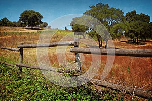 Fence in Countryside