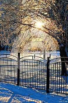 Fence covered snow winter park
