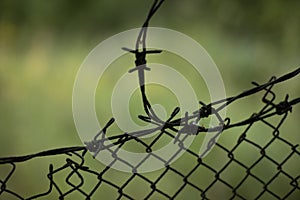 Fence in detail. Fence around house. Barrier for outsiders