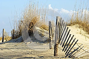 Fence in Dunes