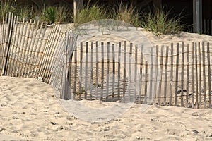 Fence in the Dunes