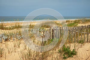 Fence in the Dunes