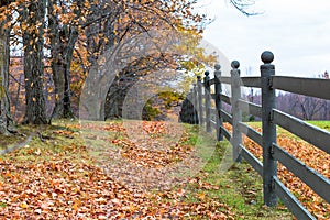 Fence in fall