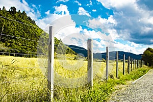 Fence on farm in countryside on sunny day. Overgrown green grass field.