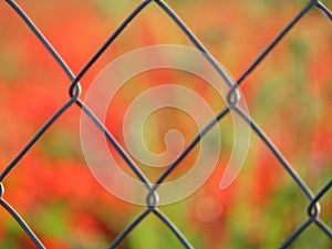 Fence fence fence enclosure protection wire particular separation photo