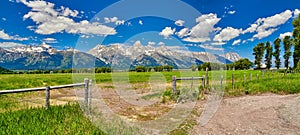 Fence and field with the Grand Teton mountians in the background photo