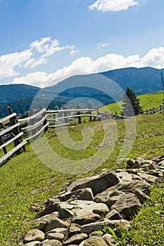 Fence in the forest