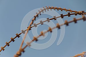 Old rusty barbed wire