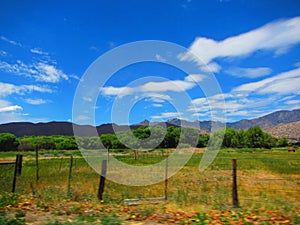 Valley with green grass, trees and mountains in the distance blue sky with whispy clouds