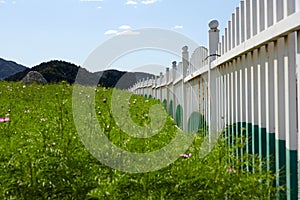 Fence and garden