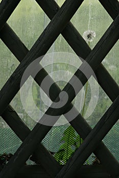 Fence of a garden with a gate, German design of a hunter fence.