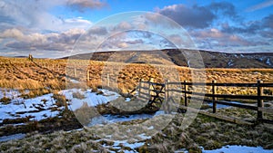 Fence and Gate marks the Scottish Border in the Cheviot Hills