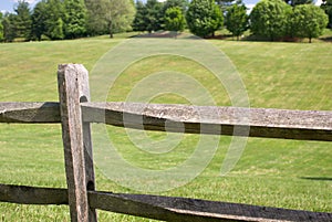 Fence and green field