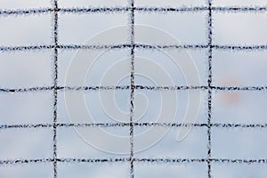 A fence with a grid pattern is covered in ice