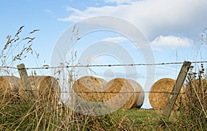 Fence and hay bales