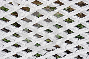 Fence with hoarfrost in the winter