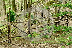 Fence in iron led to a park