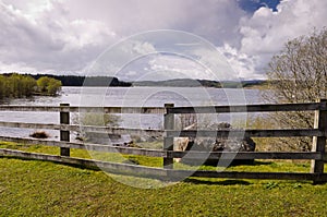 Fence at Kielder water