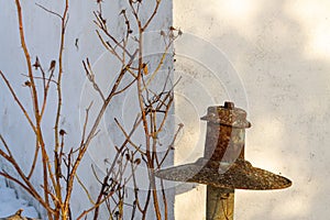 A fence with a lamp and wild rose branches grown into it against the backdrop of a white wall of the house. The concept of nature