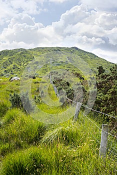 Fence leading to mountains